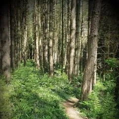 hypnotherapy in cheltenham
